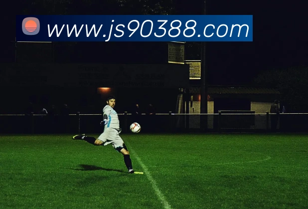 金沙国际娱乐平台生态图